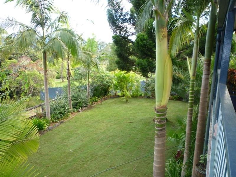 43 Basil Road, Nimbin NSW 2480