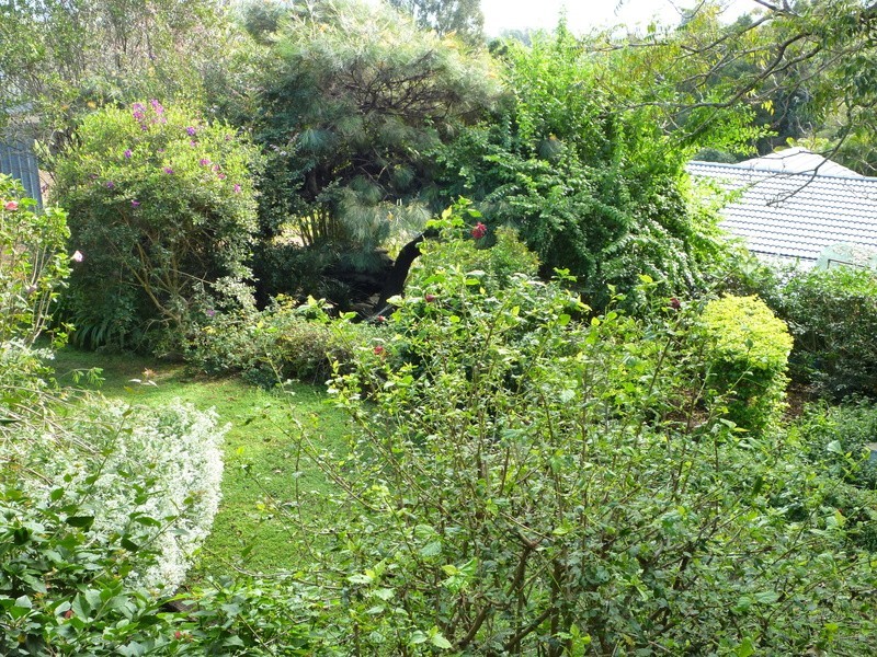 Goonellabah NSW 2480