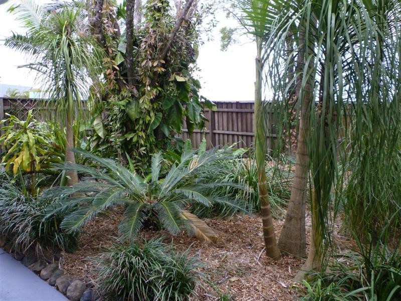 Lismore Heights NSW 2480