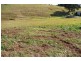 Goonellabah NSW 2480