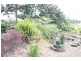 55 Stones Road, Naughtons Gap NSW 2470