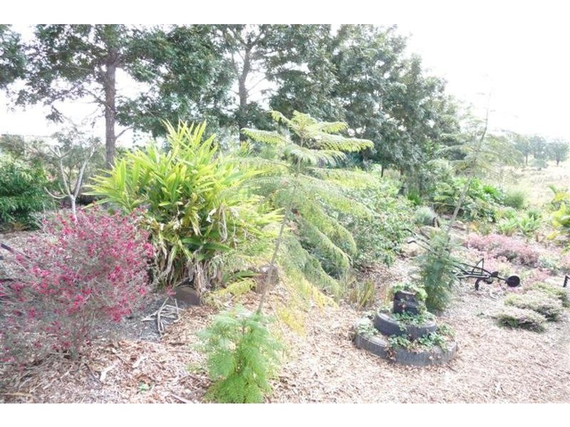 55 Stones Road, Naughtons Gap NSW 2470