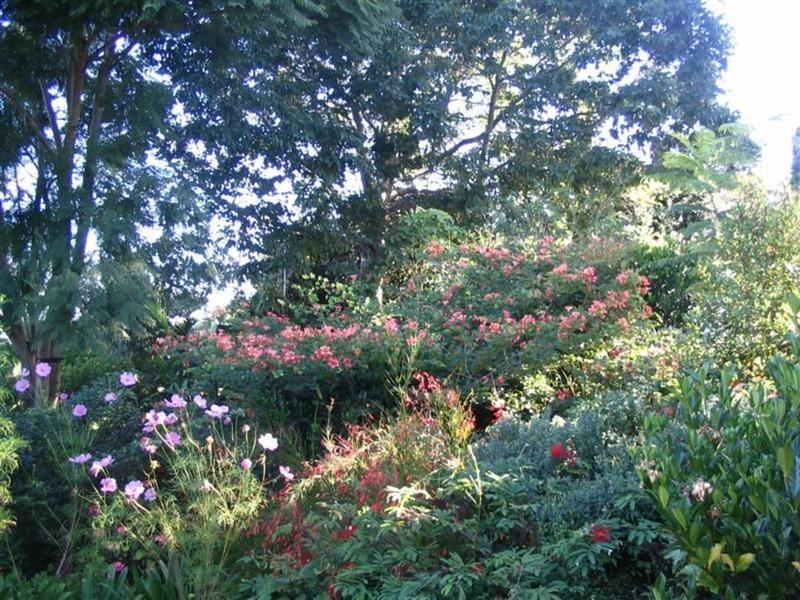 Goonellabah NSW 2480