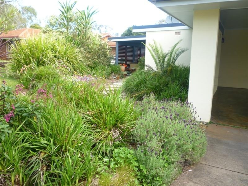 Goonellabah NSW 2480