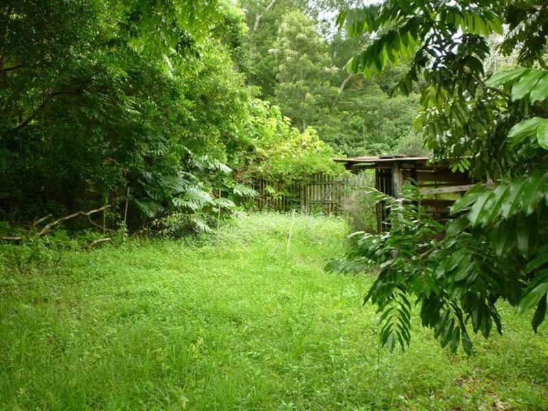 12 Gardner Avenue, Lismore NSW 2480