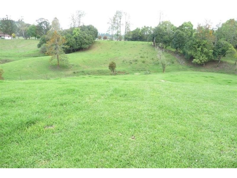 1088 Keerrong Road, Keerrong NSW 2480
