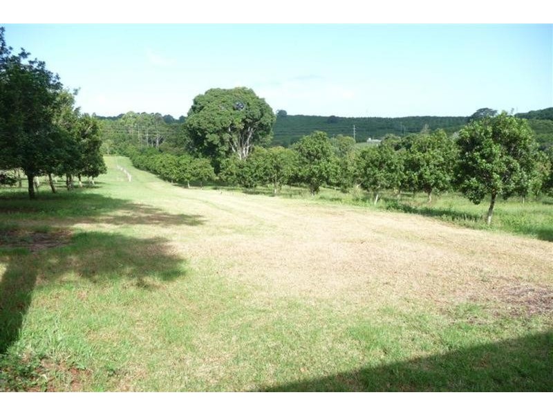 23 Willis Road, Tregeagle NSW 2480