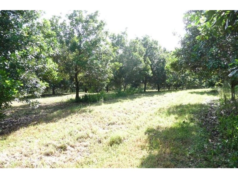 23 Willis Road, Tregeagle NSW 2480