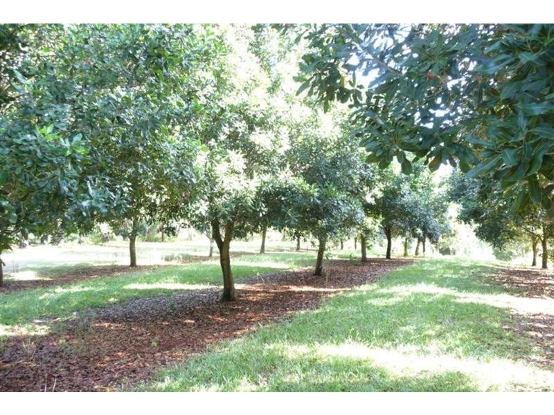 23 Willis Road, Tregeagle NSW 2480