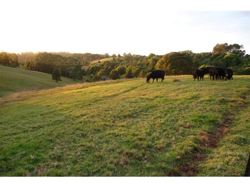 83 Mullers Road, Tregeagle NSW 2480