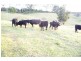 83 Mullers Road, Tregeagle NSW 2480
