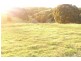 83 Mullers Road, Tregeagle NSW 2480