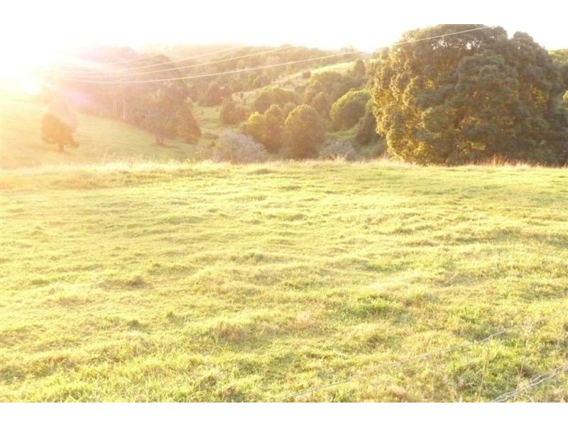 83 Mullers Road, Tregeagle NSW 2480