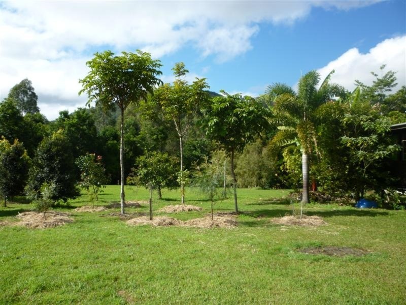 18 Belleridge Road, Nimbin NSW 2480