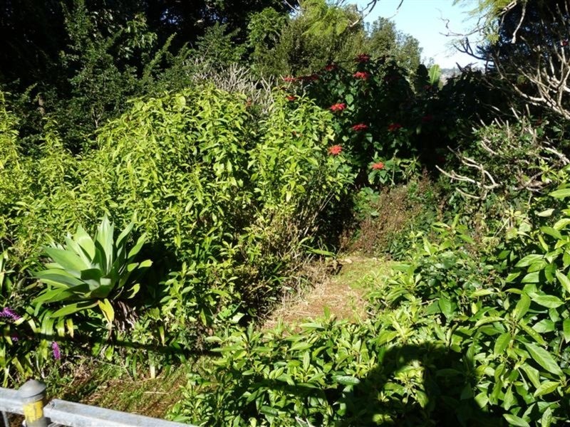 129 Richmond Hill Road, Richmond Hill NSW 2480