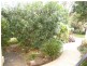 56 O’Flynn Street, Lismore Heights NSW 2480