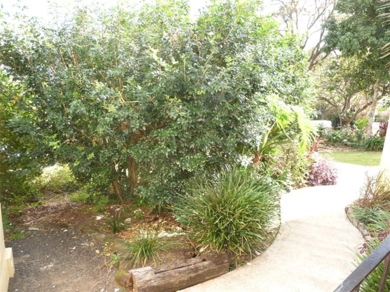 56 O’Flynn Street, Lismore Heights NSW 2480