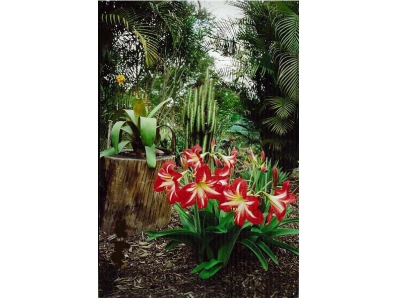 1220 Caniaba Road, Clovass NSW 2480