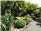1220 Caniaba Road, Clovass NSW 2480