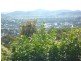 Goonellabah NSW 2480