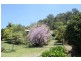 637 Cawongla Road, Larnook NSW 2480