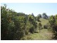 637 Cawongla Road, Larnook NSW 2480