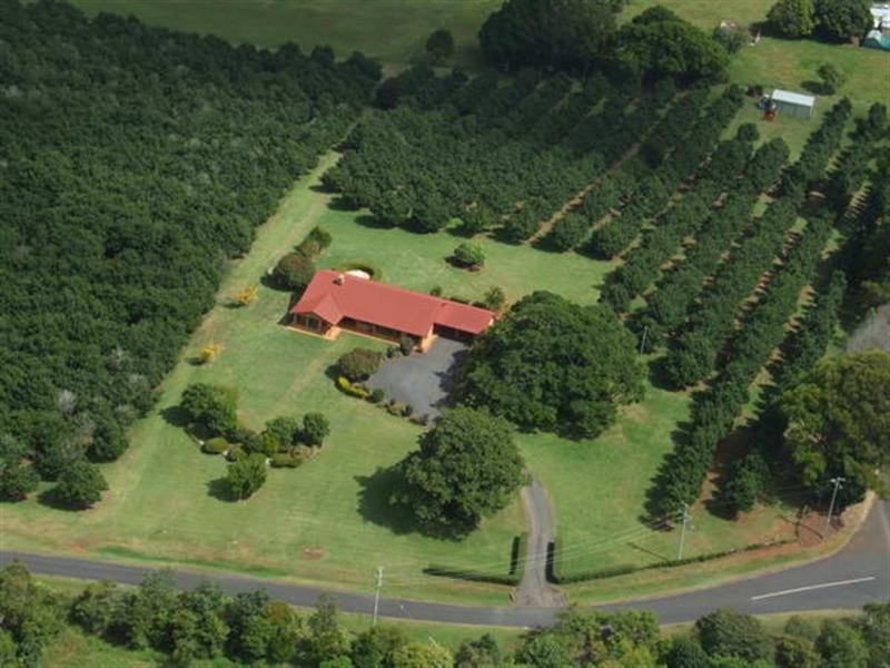 183 Cowlong Road, Mcleans Ridges NSW 2480