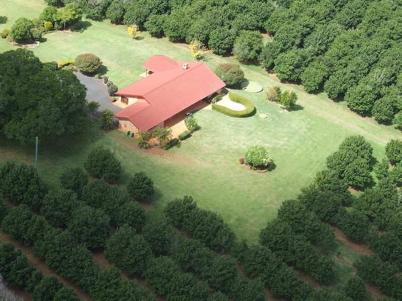 183 Cowlong Road, Mcleans Ridges NSW 2480