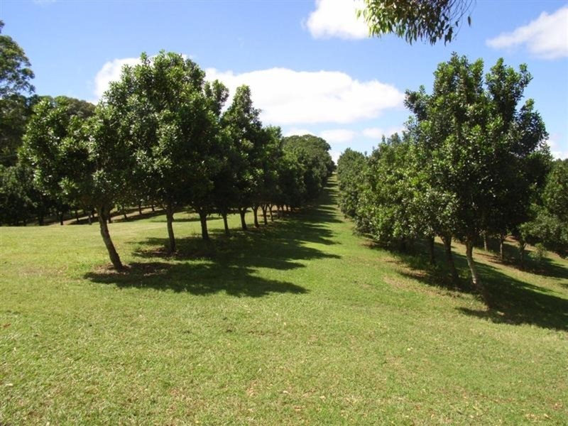 183 Cowlong Road, Mcleans Ridges NSW 2480