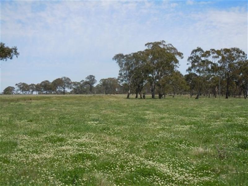 331 Clareville Road, Glen Innes NSW 2370