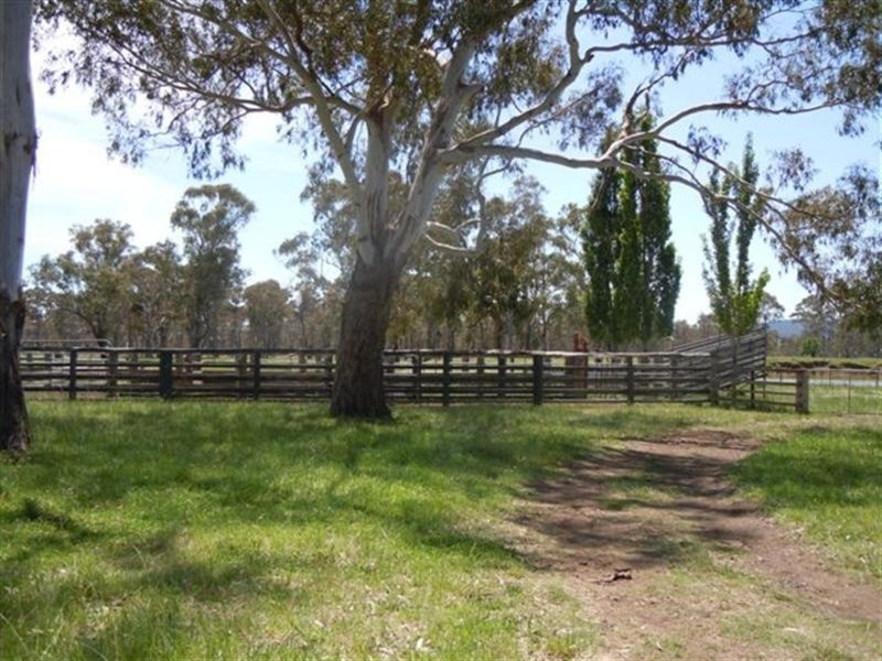 331 Clareville Road, Glen Innes NSW 2370