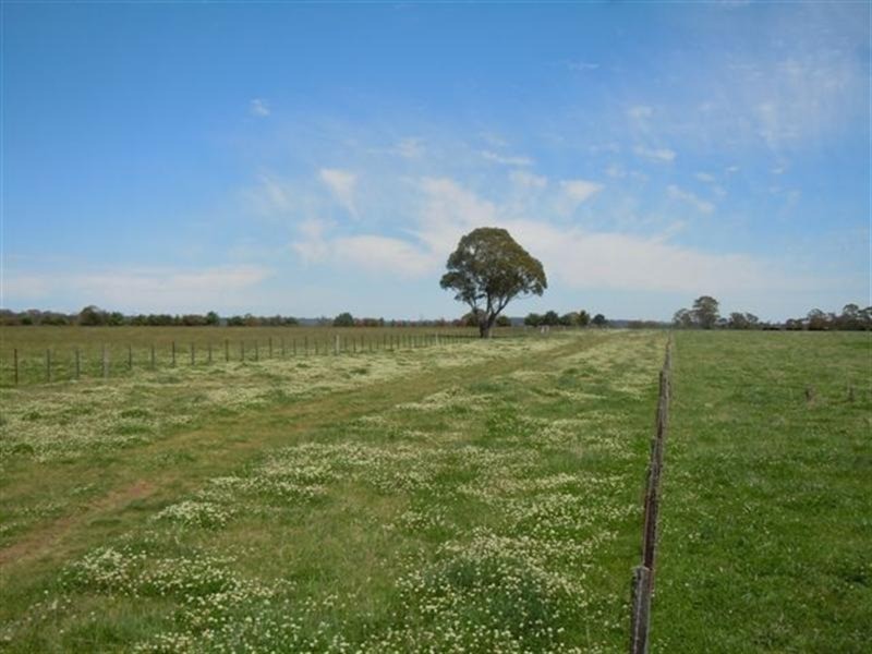 331 Clareville Road, Glen Innes NSW 2370