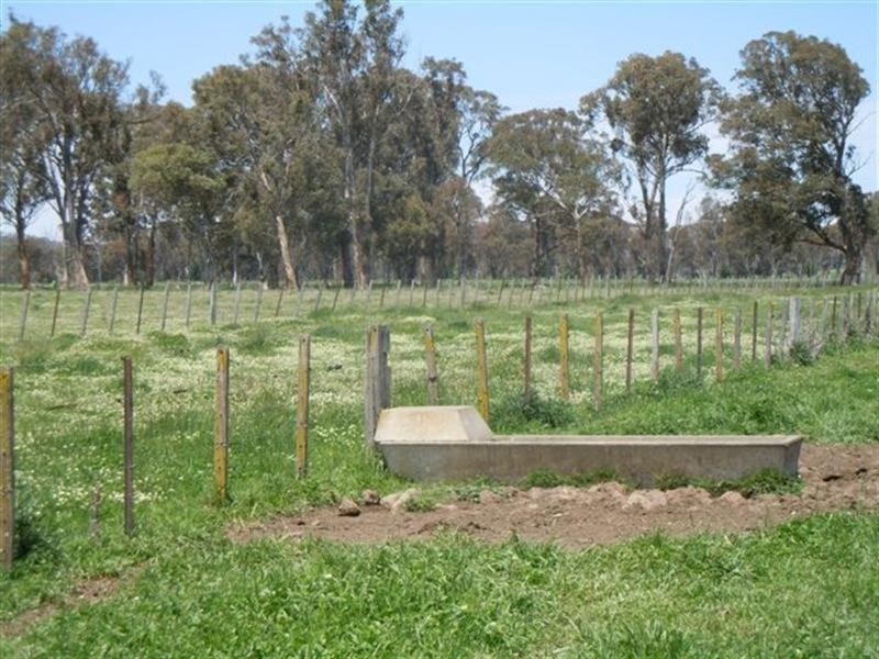 331 Clareville Road, Glen Innes NSW 2370