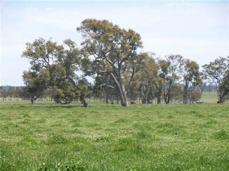 331 Clareville Road, Glen Innes NSW 2370