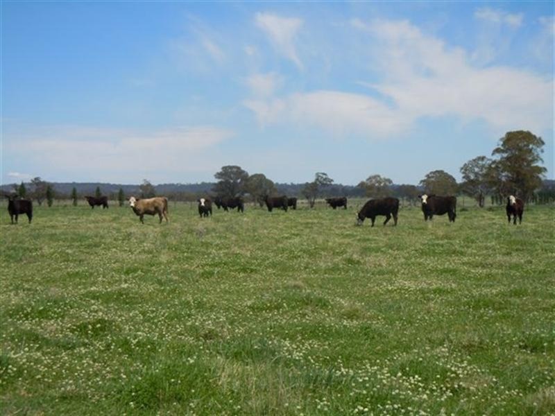 331 Clareville Road, Glen Innes NSW 2370