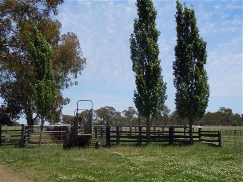 331 Clareville Road, Glen Innes NSW 2370