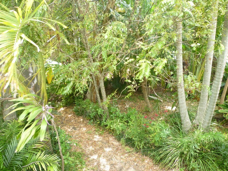 36 Parkes  Street, Girards Hill NSW 2480