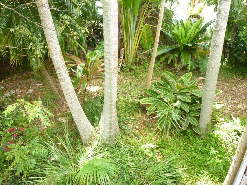 36 Parkes  Street, Girards Hill NSW 2480