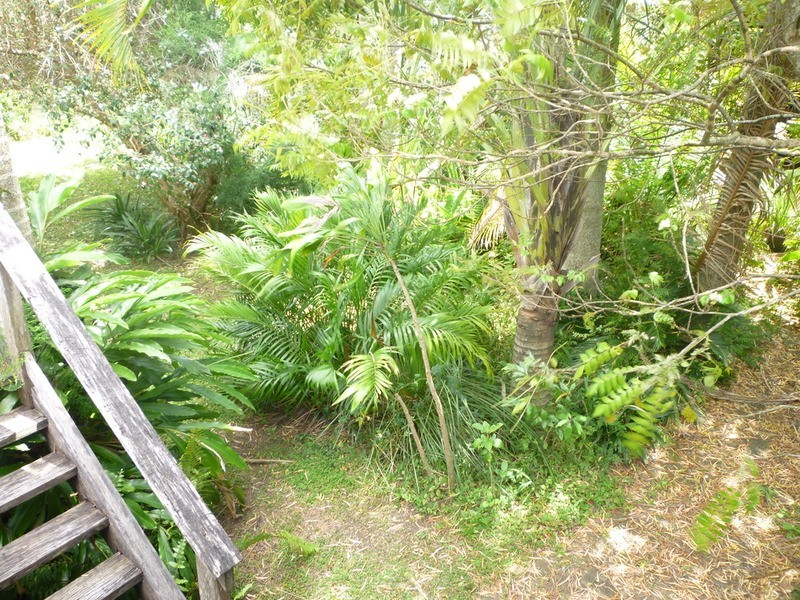 36 Parkes  Street, Girards Hill NSW 2480