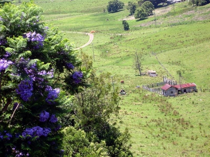 6 Warrick  Place, Lismore Heights NSW 2480