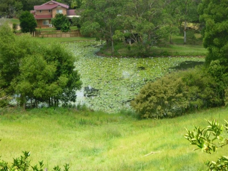 12 Napier Street, Goonellabah NSW 2480