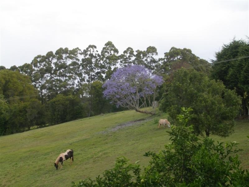 12 Napier Street, Goonellabah NSW 2480