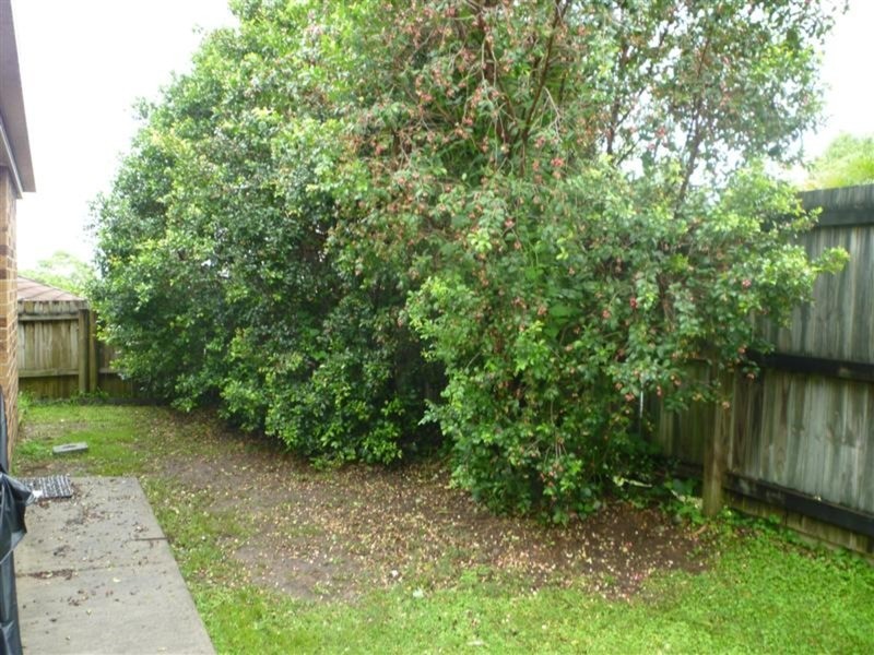 55 Fischer Street, Goonellabah NSW 2480