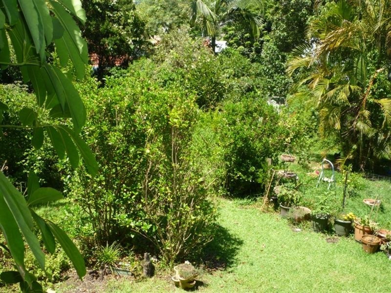 53 Spring  Street, East Lismore NSW 2480