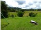 9 Bertoli   Road, Jiggi NSW 2480