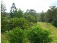 9 Bertoli   Road, Jiggi NSW 2480