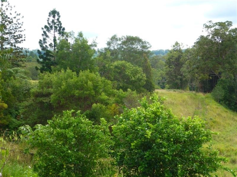 9 Bertoli   Road, Jiggi NSW 2480