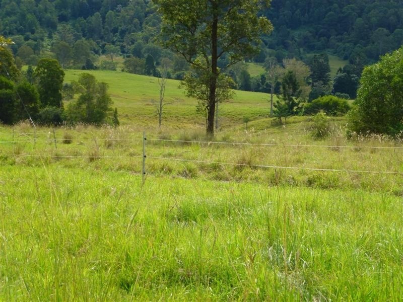 9 Bertoli   Road, Jiggi NSW 2480