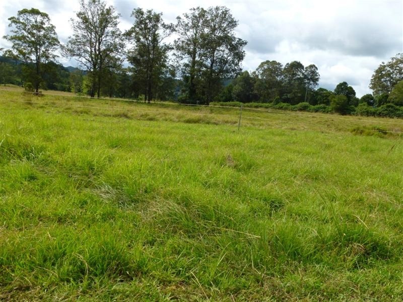 9 Bertoli   Road, Jiggi NSW 2480