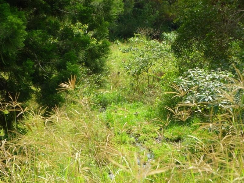 9 Bertoli   Road, Jiggi NSW 2480